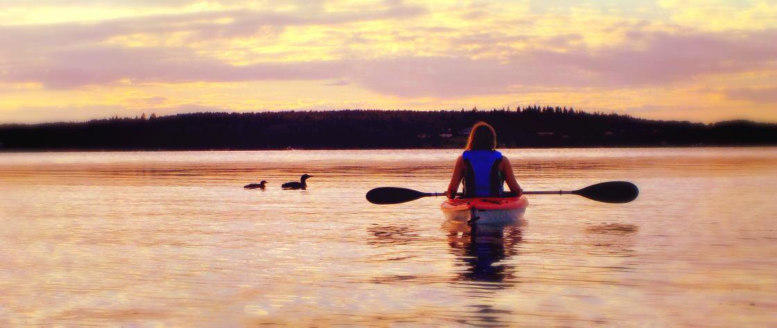 image of lake early evening with a woman stopped in a kayak while a Loone and it's large chick pass in front. Rush hour on the lake, total grid-lock!